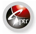 Ping Telecoms Logo